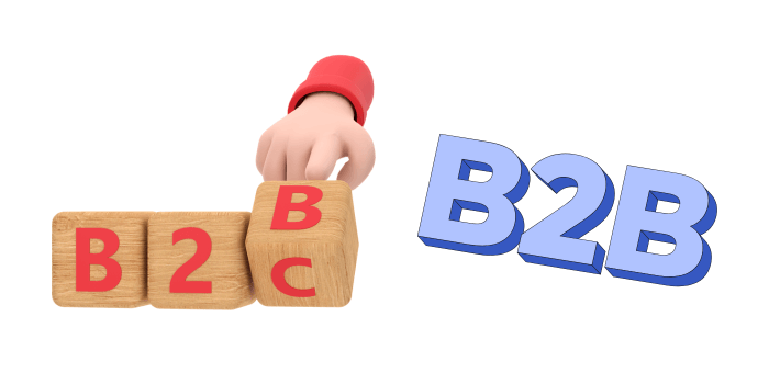 What is B2B Marketing